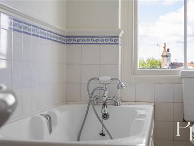 Picture 20